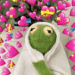 Meet your Posher, Allyson